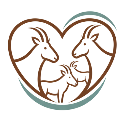 La reproduction des saïgas